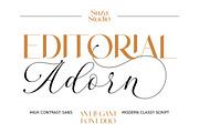 Editorial Adorn, a Script Font by Suza Studio (Thumbnail 1 of 14)