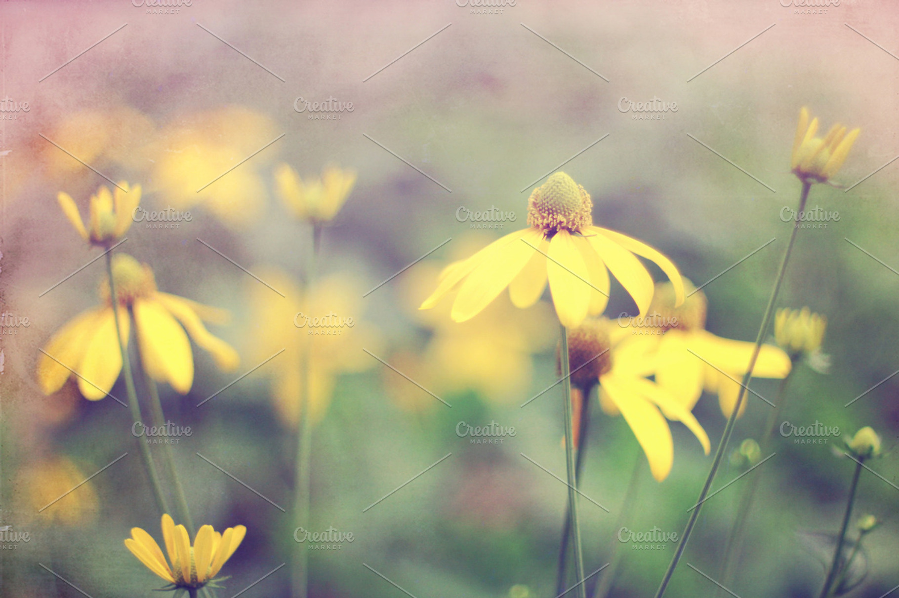 Vintage Flower Containing Vintage Flower And Floral