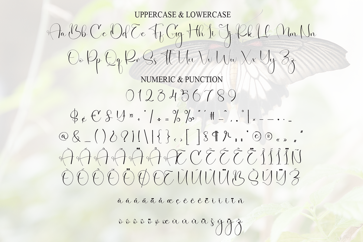 Butterfly | Script Font, a Handwritten Font by Scratchones (Photo 7 of 9)