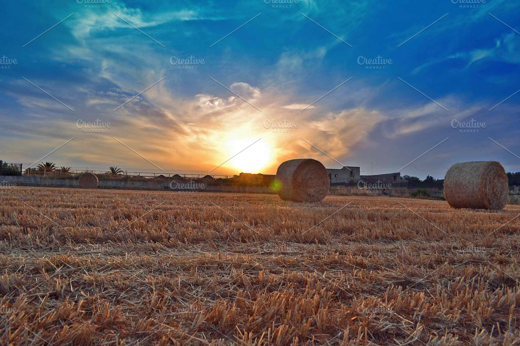 Bale Of Straw Stock Photo Containing Straw And Bale Of Straw