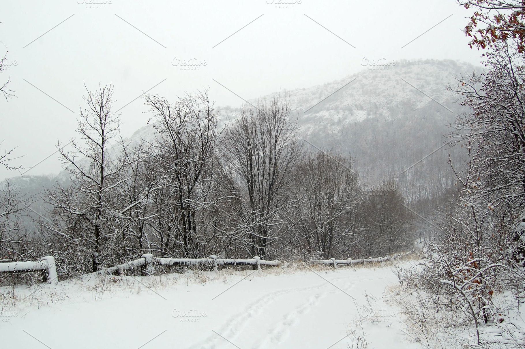 winter landscape, a Background Photo by rebekka_ivacson
