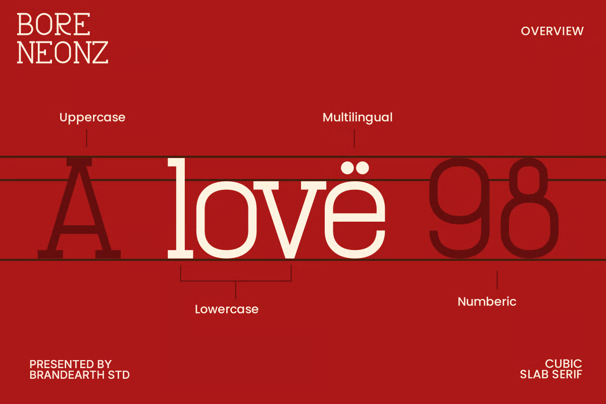 Bore Neonz – Retro Slab Serif, a Slab Serif Font by Brand Earth (Photo 3 of 12)