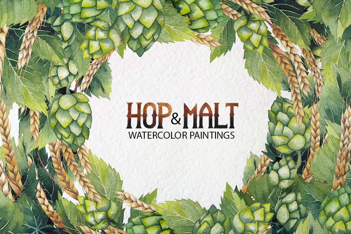 Watercolor hop and malt, a Decorative Illustration by Ekaterina Glazkova (Photo 1 of 6)