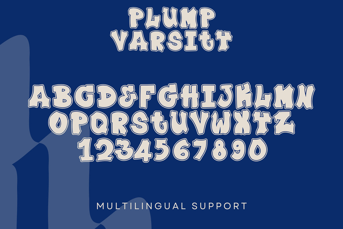 Plump Varsity, a Serif Font by Dm Studio (Photo 9 of 10)