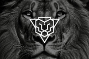 Geometric Triangle Lion Logo, a Branding & Logo Template by Luxury Logos (Thumbnail 2 of 4)