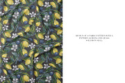 Lemons and grass Solomon seal, an Illustration by PASHKOVA (Thumbnail 18 of 22)