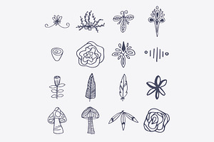 Hand Drawn Nature Elements