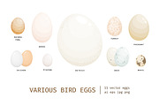 Different birds egg set, a Food Illustration by Good Studio (Thumbnail 1 of 5)