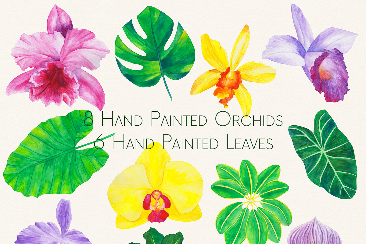 Wild Orchids Graphic and Texture Kit, a Graphic by Method & Process (Photo 4 of 15)