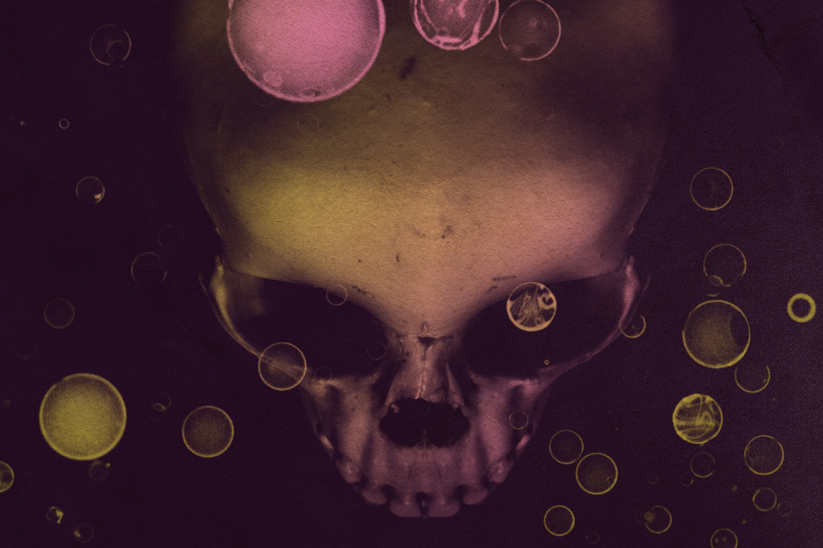 Skull Brushes, a Brush Add-On by RuleByArt (Photo 7 of 10)