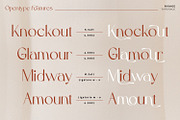 Rivage, a Sans Serif Font by Nathatype (Thumbnail 8 of 9)