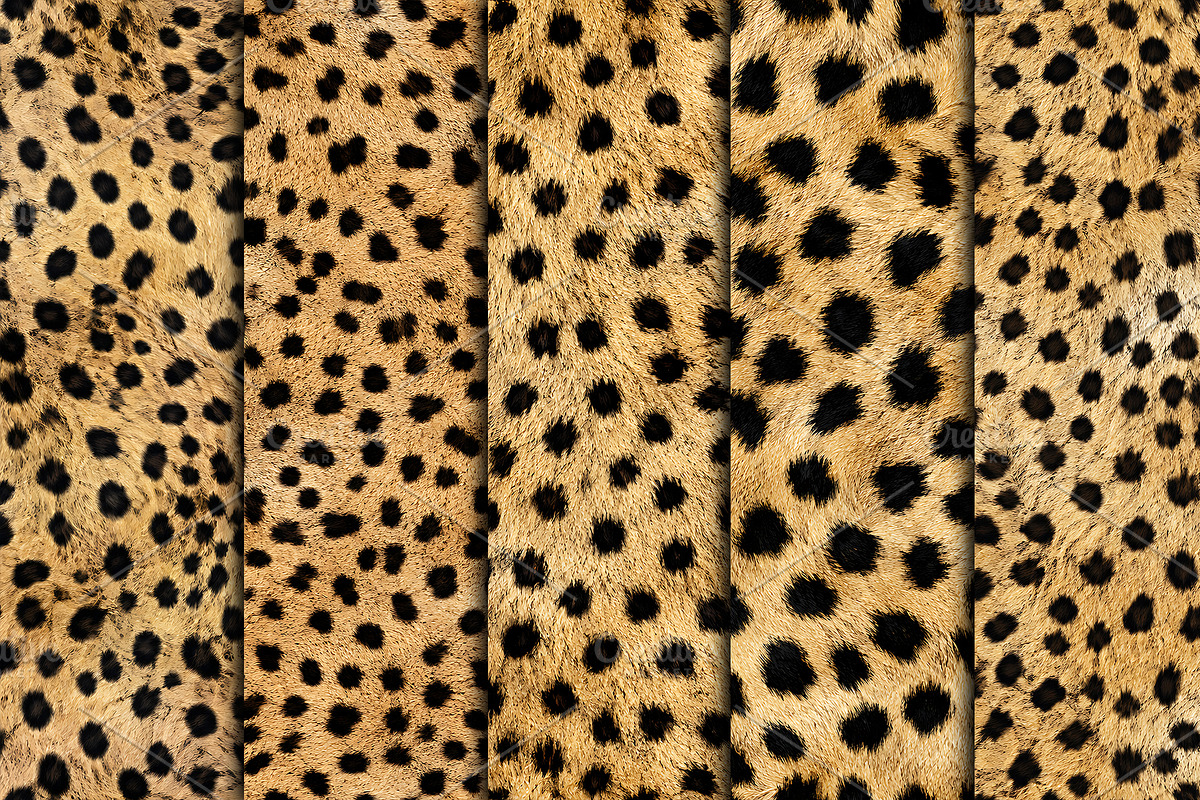 Realistic Cheetah Print Fur Texture, a Pattern Graphic by Artonix (Photo 3 of 4)