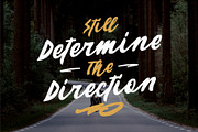 VENATOR Brush Font, a Script Font by Garisman Std (Thumbnail 6 of 9)