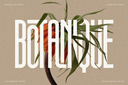 First Contact - 16 Fonts in One Pack, a Sans Serif Font by SilverStag Type Foundry (Thumbnail 12 of 30)