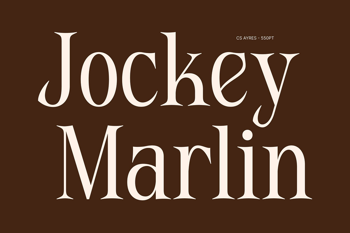 CS Ayres – Contemporary Serif Font, a Serif Font by Craft Supply Co. (Photo 4 of 8)