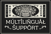 North Queen, a Serif Font by Typeskets (Thumbnail 9 of 10)