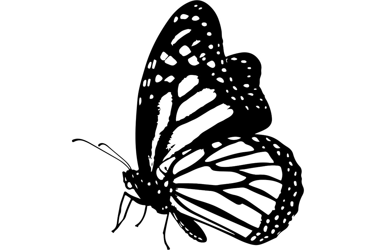 Butterfly Silhouette Bundle, an Object Graphic by Designer_Momina (Photo 5 of 20)