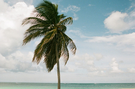 35mmFilm Stock Photo Caribbean Beach