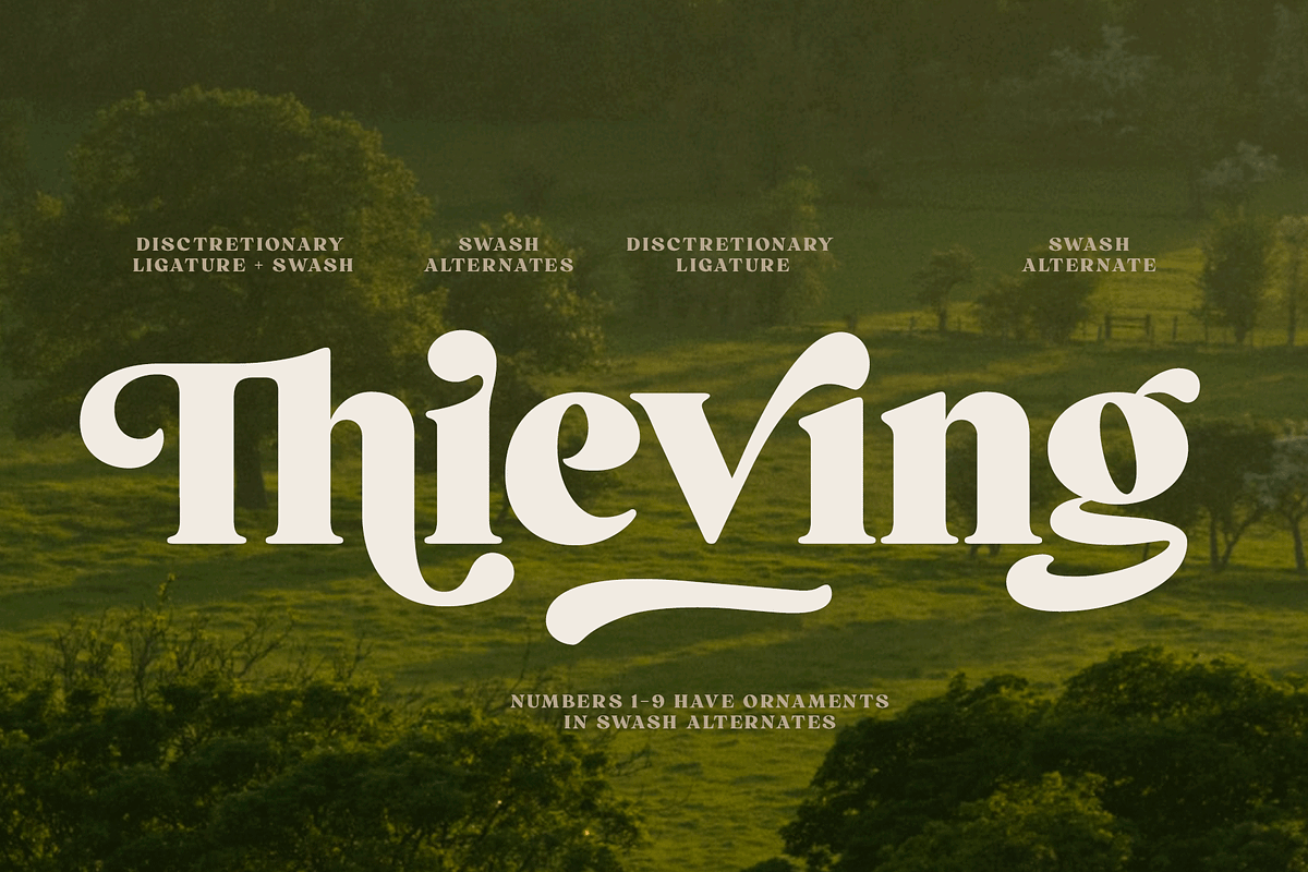 Briston Serif, a Serif Font by Fenotype (Photo 7 of 14)