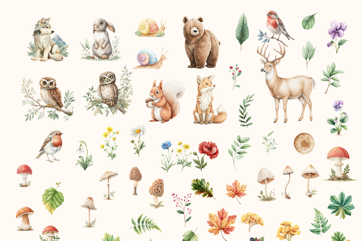 Woodland Forest fall animals clipart, an Animal Illustration by Pattern + watercolor (Photo 3 of 13)