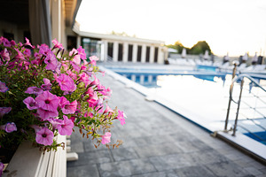 Pink flowers with a poolside view during sunset, a Photo by AS photostudio