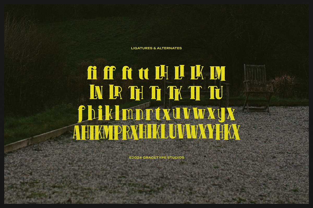 Pitolia | Decorative Display Serif, a Serif Font by gracetype_studio (Photo 12 of 12)
