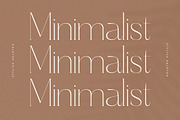 Haloyen Stylish Font Serif, a Serif Font by Storytype Studio (Thumbnail 6 of 15)
