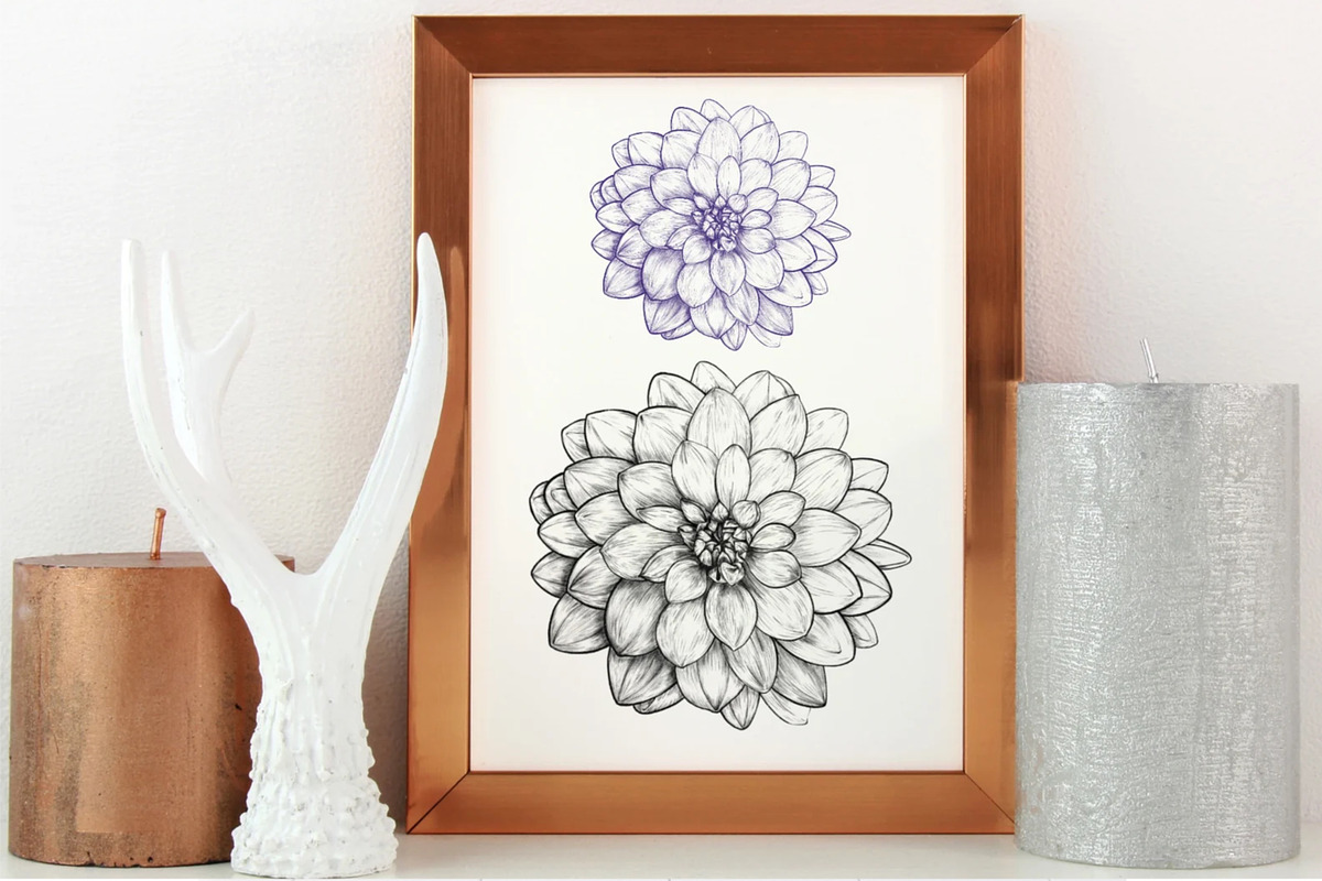 Drawing of DAHLIA Flower Line Art, a Decorative Illustration by Sense Library (Photo 4 of 5)