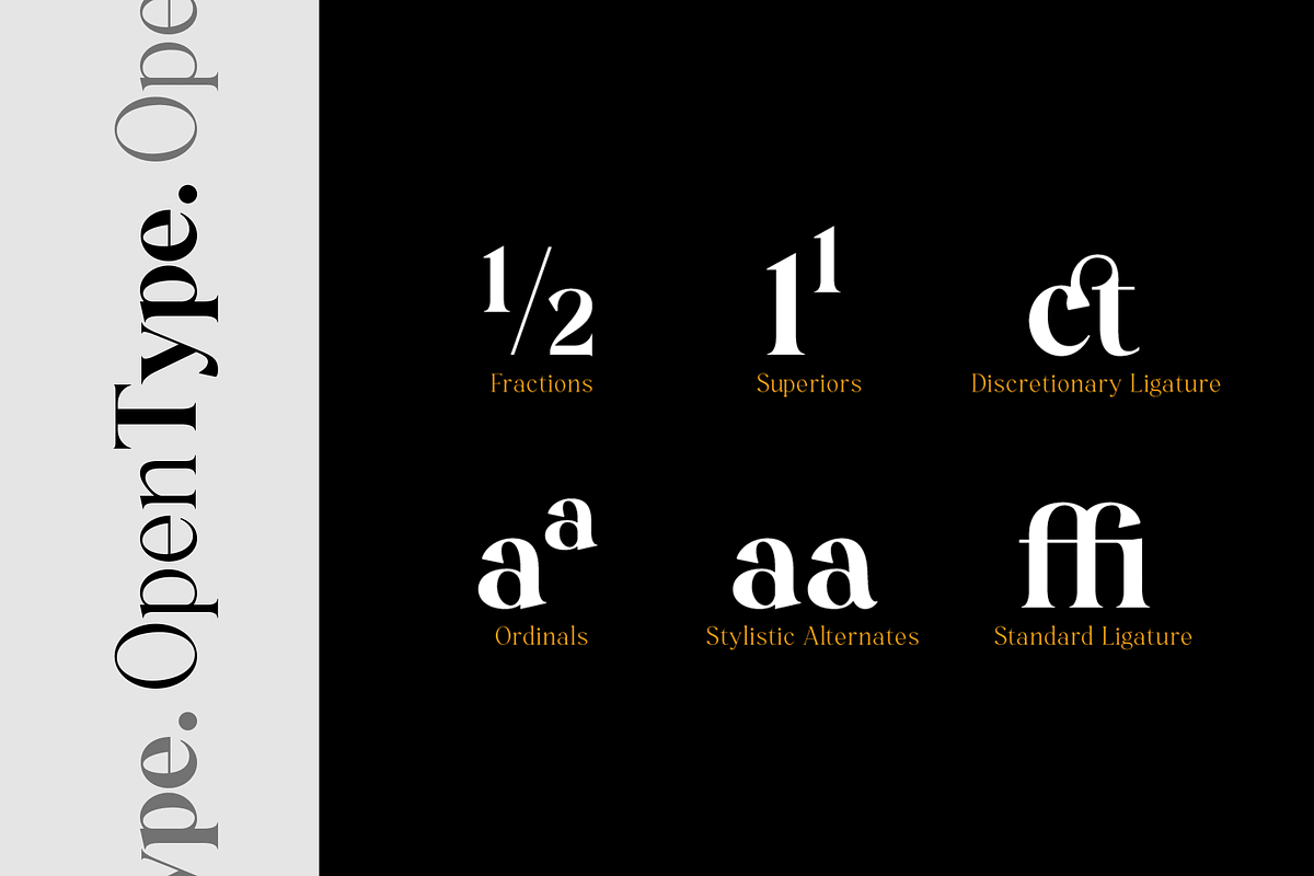 Monesta Regular, a Serif Font by ShowUp! Studio (Photo 10 of 16)