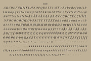 New Forest, a Font by Simon Walker (Thumbnail 9 of 9)