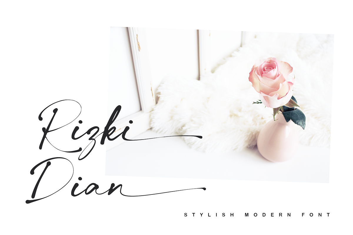 Collection - NEW STYLE, a Script Font by alphArtype (Photo 5 of 16)