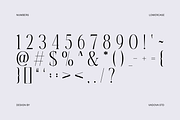 Melarune Modern Elegant Serif Font, a Serif Font by Vadovastd (Thumbnail 3 of 10)