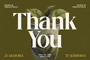 Mistical Spring - Modern Serif, a Serif Font by timelesstype.co (Thumbnail 20 of 20)