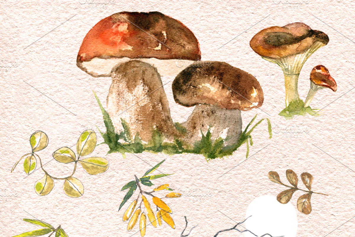 Yellow autumn watercolor, an Animal Illustration by JuliaFast (Photo 7 of 7)