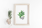 Watercolor Herb Set with text, an Illustration by DailyMiracleDigitals,LLC (Thumbnail 4 of 5)