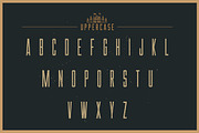 Las Valles Textured Typeface, a Sans Serif Font by Kaligra.co (Thumbnail 16 of 19)