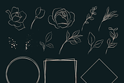 Amanda | Botanical set | 205 images, an Illustration by Karma (Thumbnail 19 of 27)
