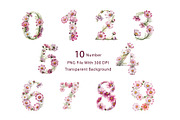 Cosmos Watercolor Floral Clipart, a Decorative Illustration by ForhadGFX (Thumbnail 14 of 15)