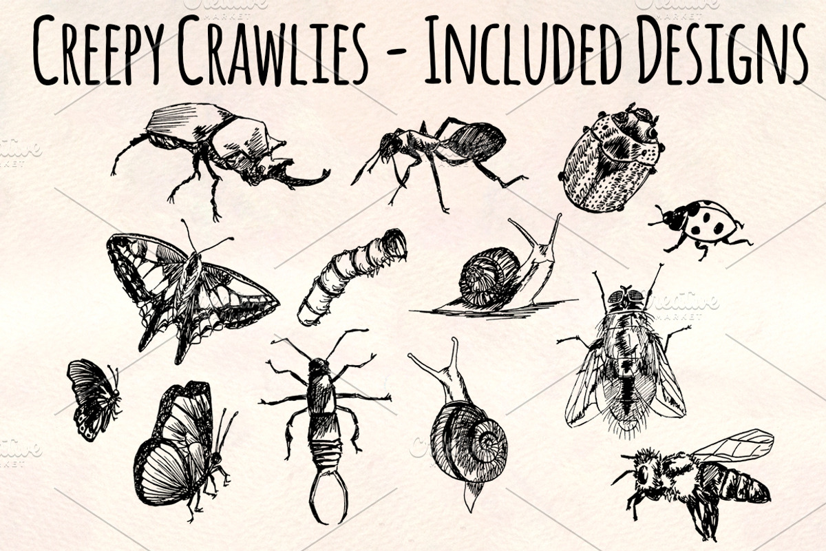 Creepy Crawly Vector Bug Bundle, an Illustration by Violet LeBeaux (Photo 1 of 4)
