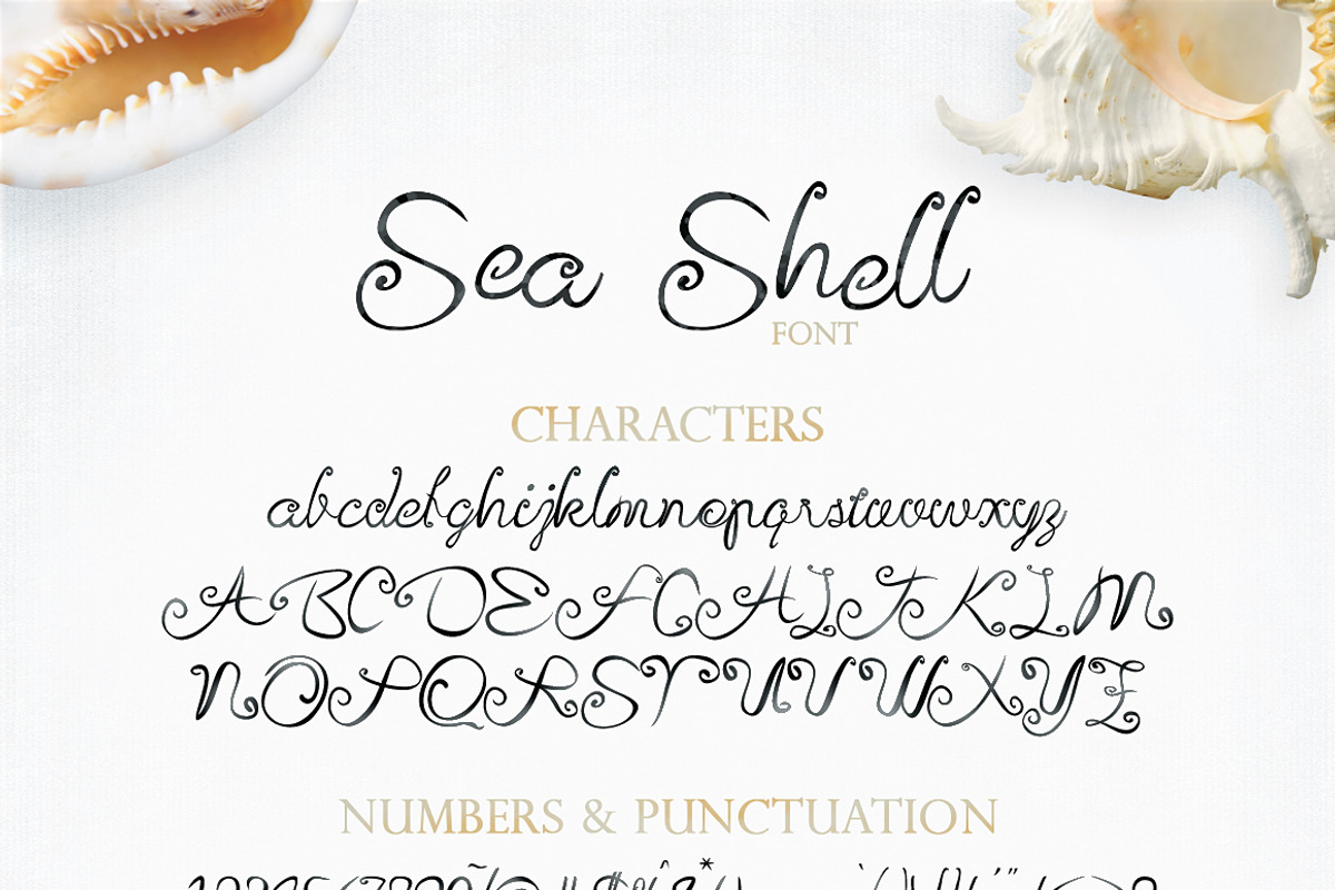Sea Shell Script, a Script Font by tmcom (Photo 11 of 13)