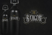 HavaShine Typeface with Extras, a Serif Font by StoricType (Thumbnail 7 of 9)