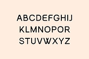 Forehands Rounded Elegant Sans Serif, a Sans Serif Font by UICreative (Thumbnail 6 of 13)