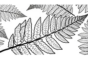 Minimal Abstract Leaves Line Art, an Illustration by musafir_fashion (Thumbnail 5 of 11)