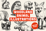 25 Woodland Animal Illustrations, an Animal Illustration by Vectorian (Thumbnail 1 of 5)