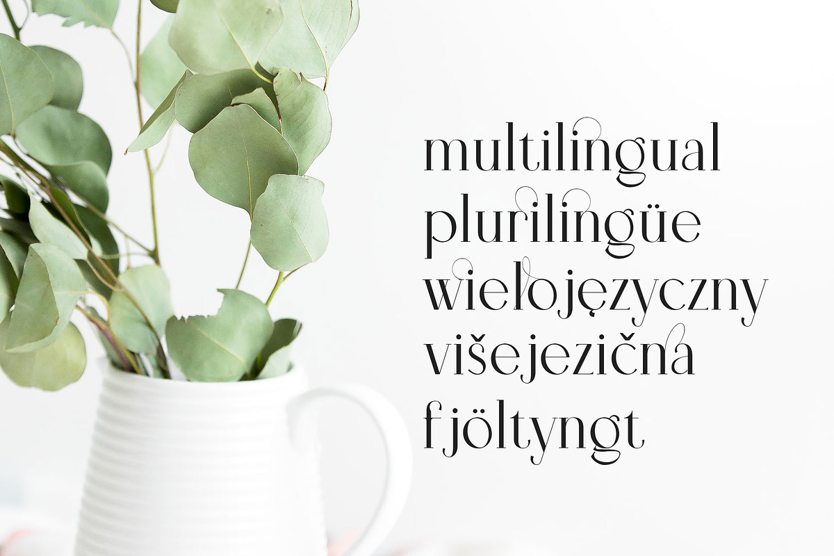 Tilaa Serif -Ligature Typeface, a Serif Font by Ryul Davidson (Photo 13 of 13)