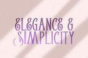 Agendra Serif Font, a Serif Font by Salt & Pepper Designs (Thumbnail 5 of 8)