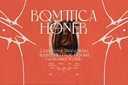 Noisera - Distressed Serif Font, a Serif Font by shineink.designlab (Thumbnail 7 of 15)