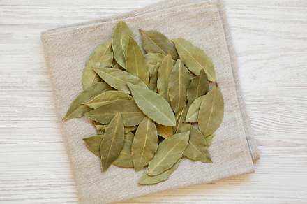 Raw Bay Leaves on a white wooden background, top view. Flat lay,, a Food & Drink Photo by LiudmylaChuhunova