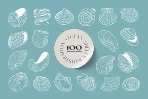 Ocean Shells Illustration