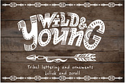 Tribal skull & feathers, a Decorative Illustration by Live line (Thumbnail 3 of 5)